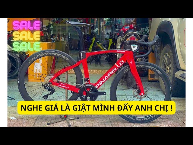 F12 - PINA chiếc xe MANG PHONG THÁI  Ý 👉0935593951☎️ #LêĐức #road #f12 #pina #cycling #xedap