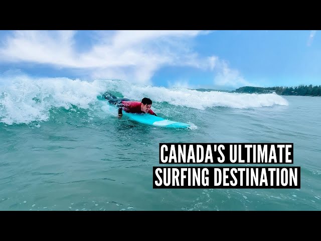 CANADA'S ULTIMATE SURFING DESTINATION: Tofino, BC Travel Vlog // Nat and Max