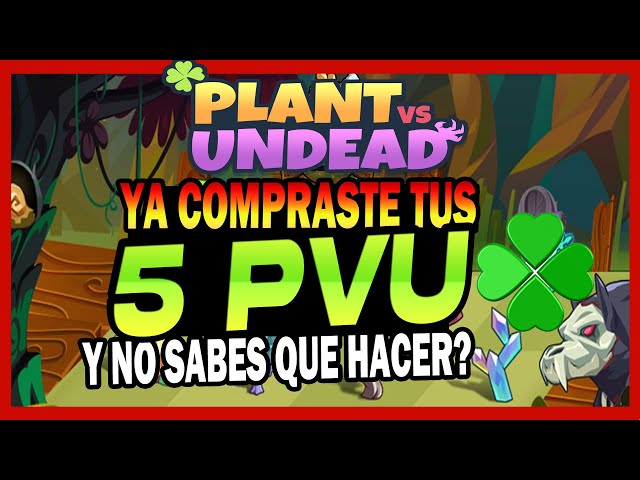 3 PRESUPUESTOS para entrar BARATO en 🌱PLANT vs UNDEAD☘️| SI eres NUEVO debes ver este VIDEO✅