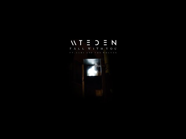 Mt Eden - Fall With You feat. Albi & the Wolves (360 Cover Art)