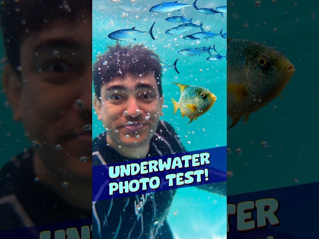 Crazy Under Water Photography Test! #ttp #smartphone #tech #photography #opporeno13