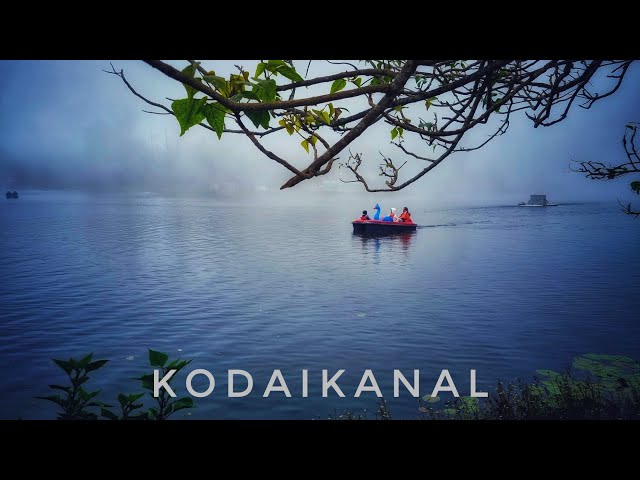 Kodaikanal Day 2 : The adventure continues