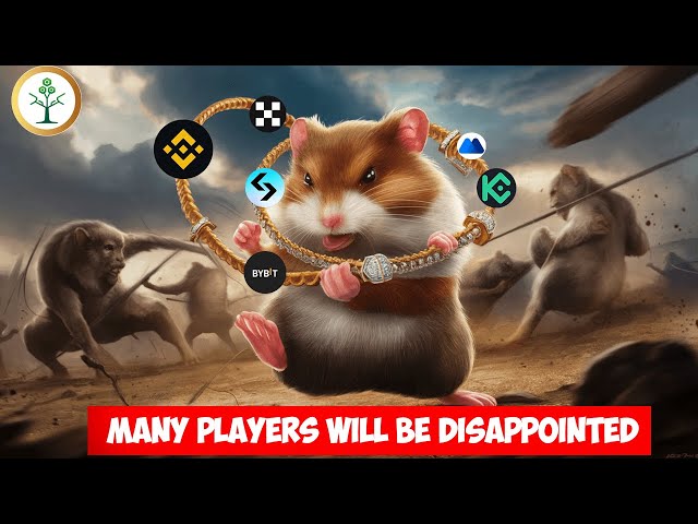 WARNING: 75% Of Hamster Kombat Players Will Fail To Make Money