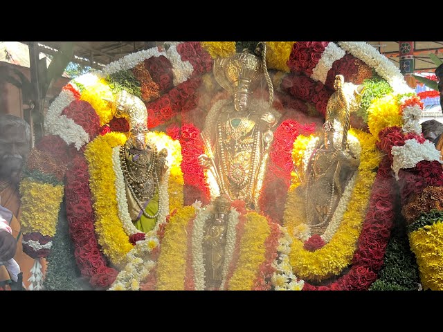 Kote Sri Seetaramanjaneya Swamy Bramha Rathotsava | #shivamogga #jaishreeram | Around Shivamogga.