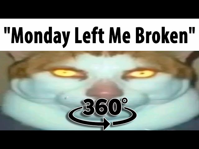 The Monday Left Me Broken Cat Finding Challenge 360º VR Video