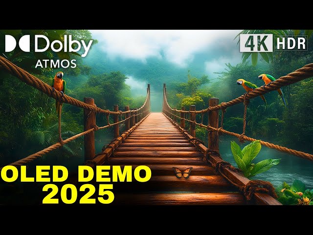 "Mind-Blowing 2025 OLED: 4K Ultra HD Dolby Atmos!