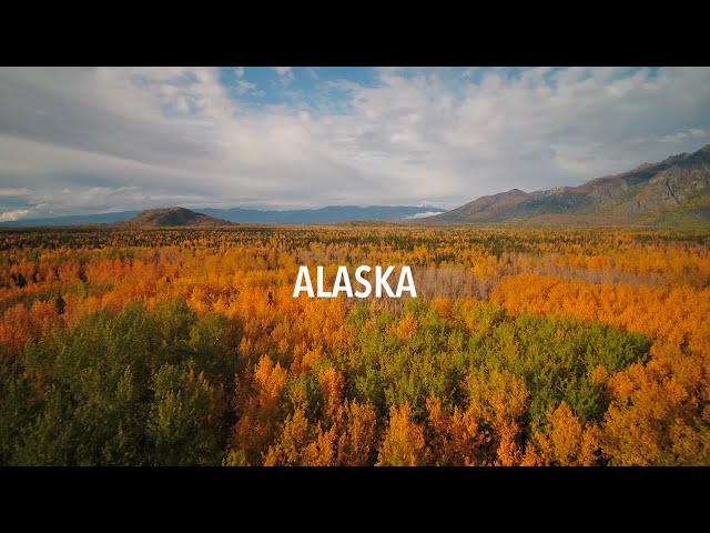 Alaska travel - 10 things you should know before you go & Things to do in Alaska #visitAlaska