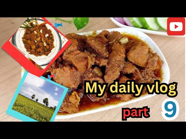 আমার প্রতিদিন এর জীবন-যাপন✅।Daily vlog.bangla daily vlog.Vlog..travel vlog.youtube vlog.trending