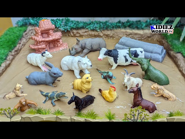 Wild Animals vs Farm Animals | Learn Animal Names, Sounds & Fun Stories | Kidiez World TV