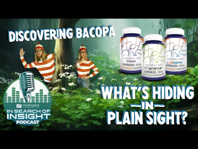 Discovering Bacopa | What’s Hiding In Plain Sight?