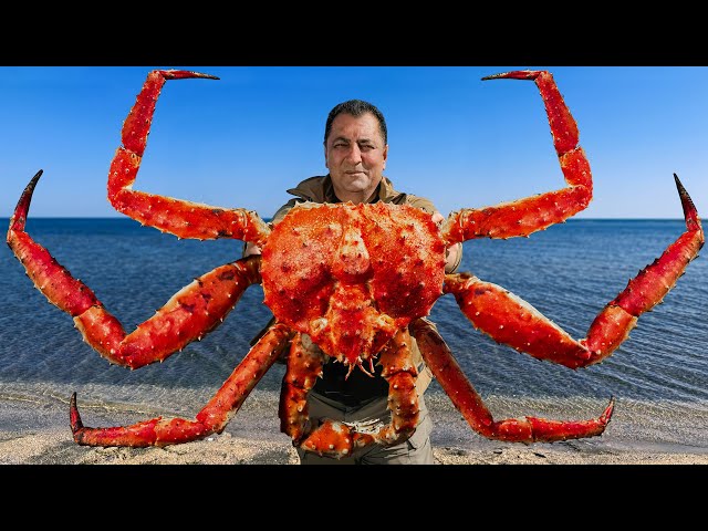 Giant And Very Tasty King Crab With Signature Sauce! Fine Dining By The Sea!