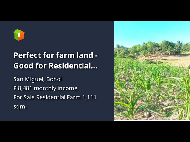 Perfect for farm land - Good for Residential with ricefield and farm lot