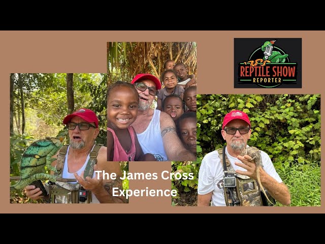 Madagascar Trip - The James Cross Experience