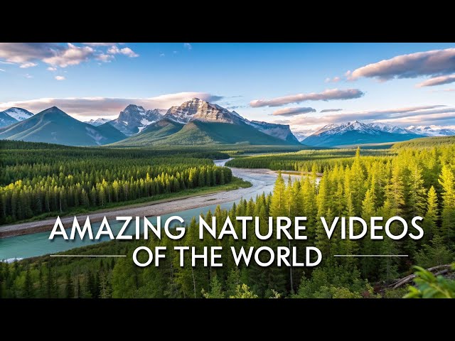 Amazing Nature Videos of the World