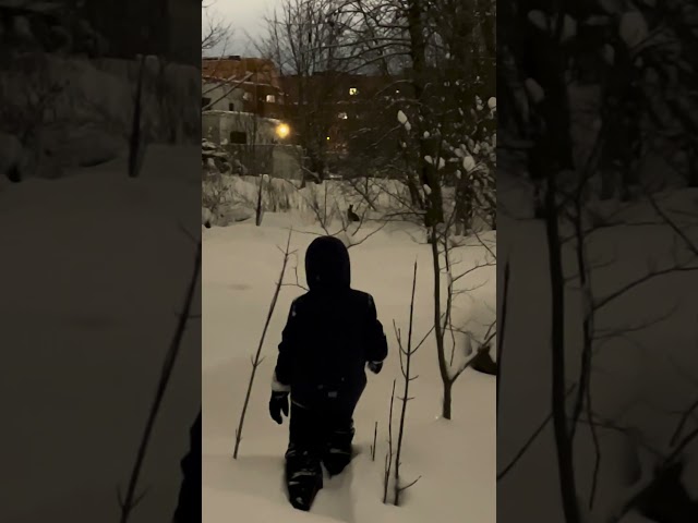 Winter adventure: the kid tracks down a hare in the snow. #hare #animal #wildlife #nature #snow