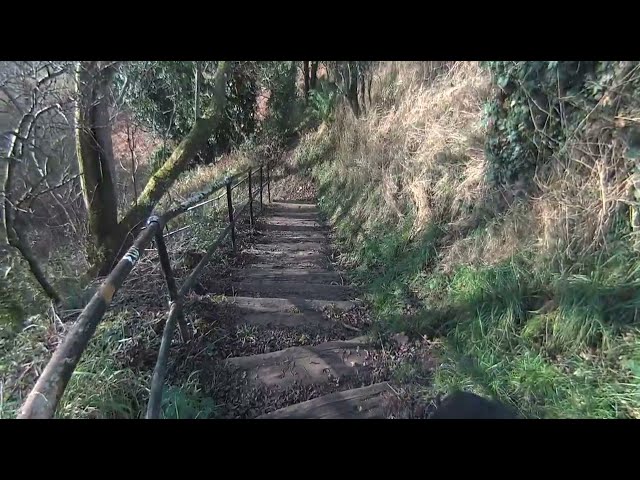 Larkhall Viaduct walk down steps on 2024-11-05 in 3d VR180