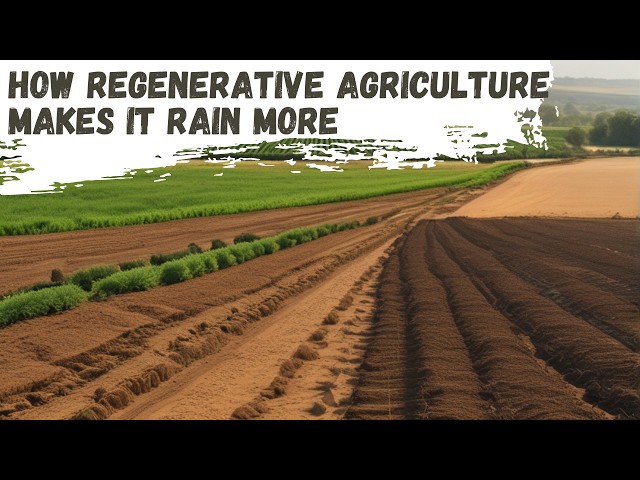 How Regenerative Agriculture Makes It Rain More/ Prevents Droughts