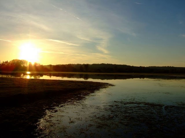 Port Meadow With Wolvercote Common & Green | Wikipedia audio article