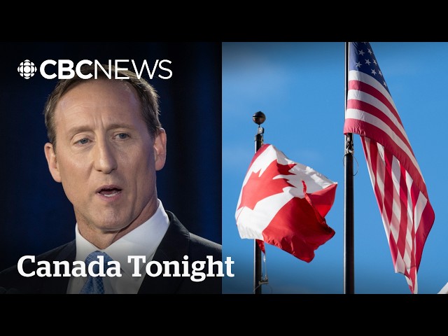 Is Trump’s world trade disruption an opportunity for Canada? | Canada Tonight