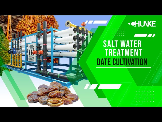 Salt water to fresh water treatment for date cultivation, date farming in Saudi Arabia, RO Plant