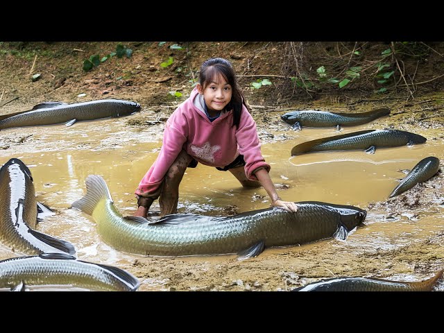 The poor girl uses her bare hands to dig through the mud to catch catfish in the cold weather