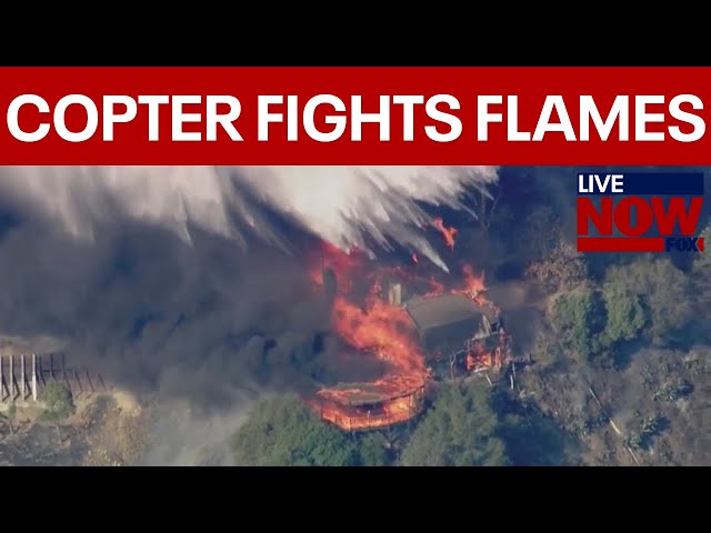 CALIFORNIA FIRES: Palisades fire causes home to burst into flames | LiveNOW from FOX