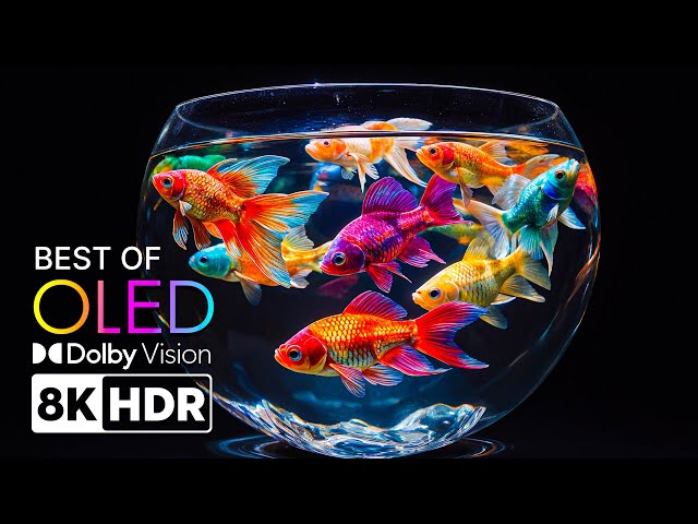 BEST OLED TEST - Mesmerizing Beauty & Colors in 8K HDR  Dolby Vision™