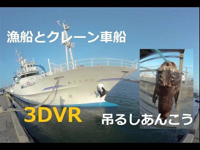 吊るしあんこうと漁船とクレーン車船！　180度3DVR　oculus go！　Hanging monkfish, fishing boat, and crane truck!  3DVR.