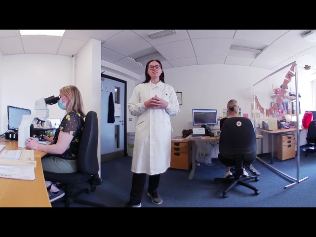 Tour of the Pathology Lab in Belfast in 360 Degrees