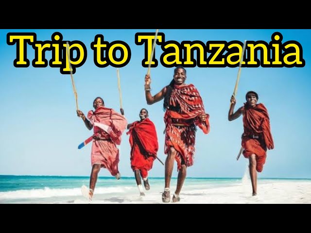 7 days itinerary for traveling to tanzania|Tanzania TRAVEL Expert Shares 7 Day Itinerary Secrets