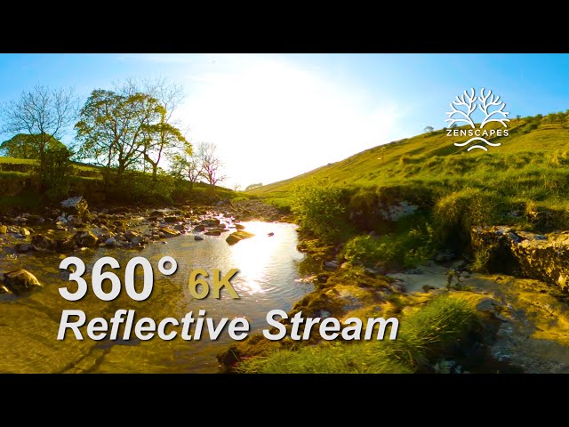 Reflective Stream - contemplative and thoughtful. Filmed in 360 6K video with ambisonic sound.