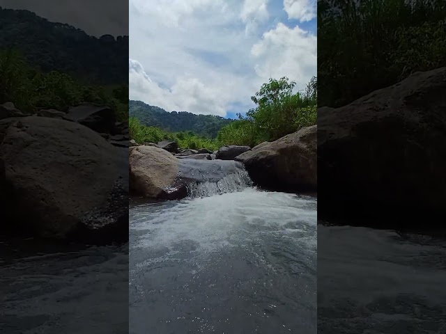 River Stream Sound #riverstream #nature #relaxing #shorts