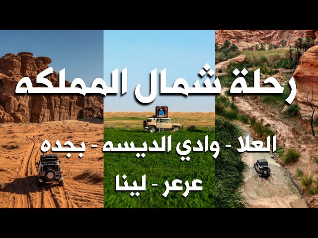 رحلة شمال المملكه  العلا |  وادي الديسه | بجده |  عرعر | لينا