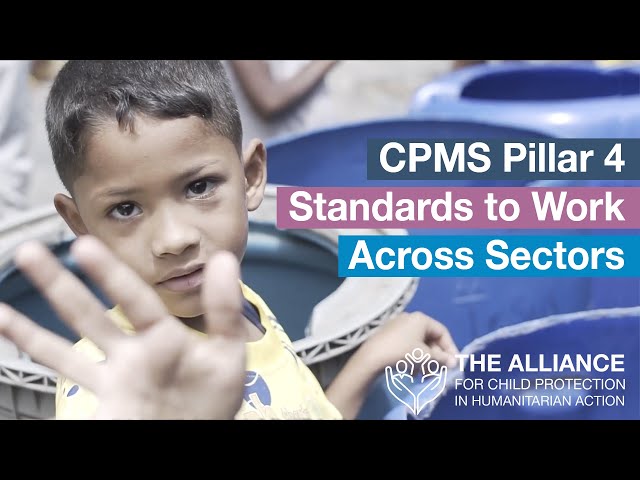 CPMS Pillar 4: Standards to Work Across Sectors