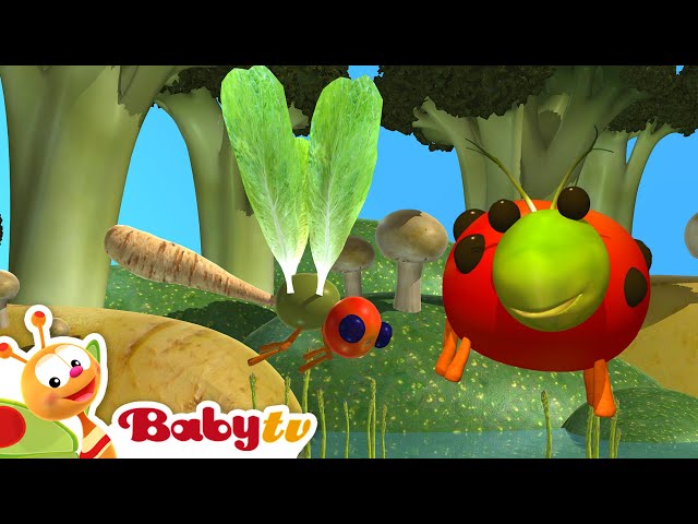 Mariquita, nuez, mosca y brillo | ¡Las verduras se convierten en increíbles insectos! 🐞🥕 @BabyTVSP