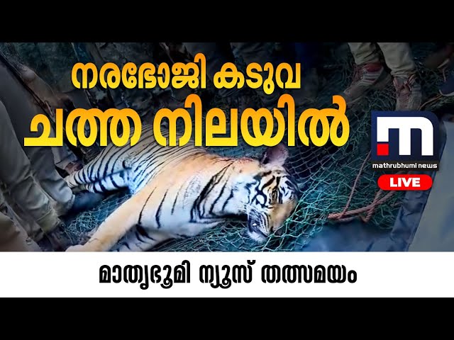 Mathrubhumi News Live | Director Shafi Passes Away | മാതൃഭൂമി ന്യൂസ് | Malayalam News Live