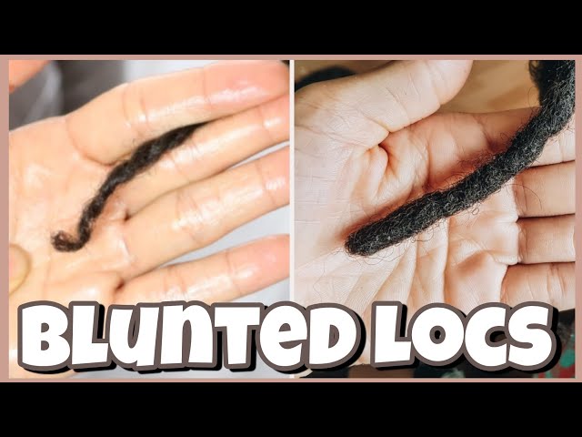 HOW TO GET YOUR LOC ENDS BLUNTED!