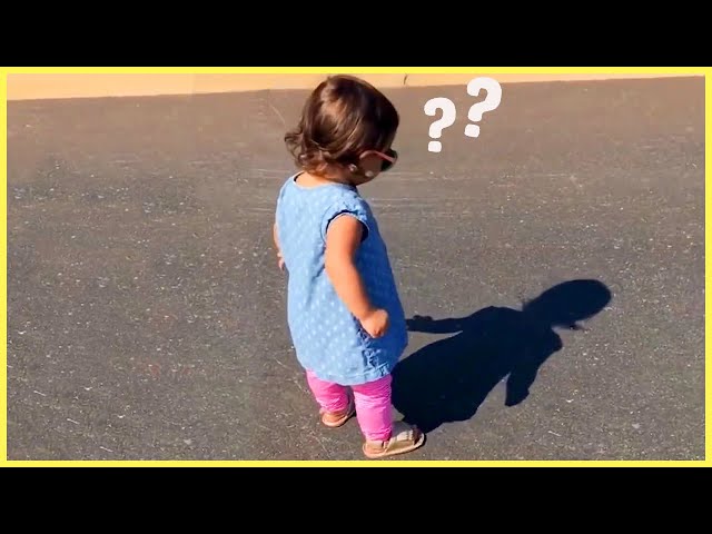 Baby Meets Shadow For The First Time: Cutest Reactions Ever!