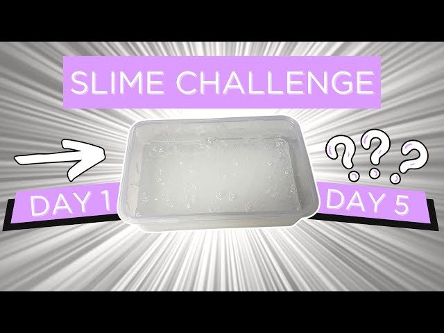 SLIME CHALLENGE: What happens on Day 5!?