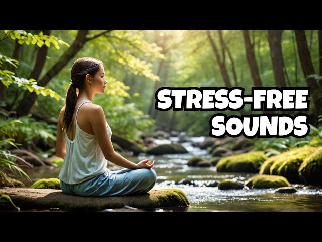 1 Hour of Relaxing Music with Nature Sounds | Stress Relief & Sleep