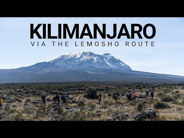 Climbing Mount Kilimanjaro via the Lemosho Route