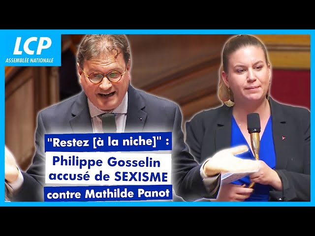 "Restez [à la niche]" : un député de droite accusé de sexisme - 06/02/2025