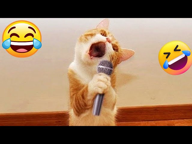 Funny Animal Videos 2023 😇 - Funniest Dogs and Cats Videos | Viral Fun😁 Part -42