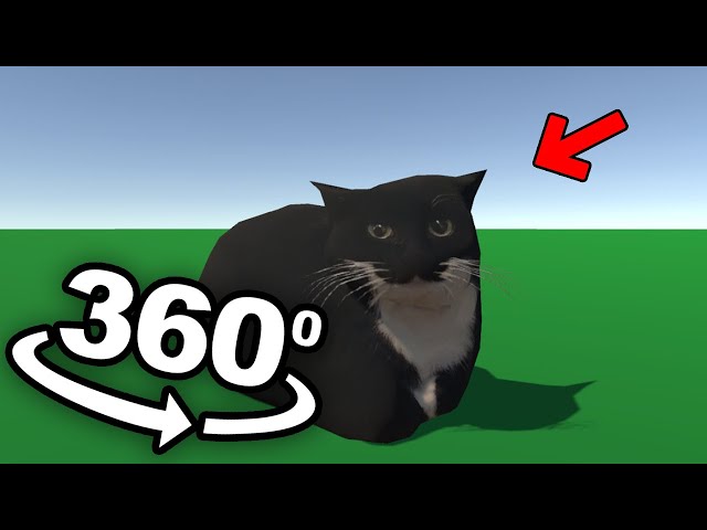 VR 360 Find Hidden Maxwell The Cat!