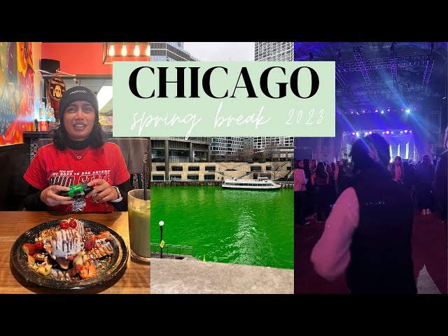 Spring break 2023 in Chicago︱Vegan food, Nessa Barrett, and using the cta