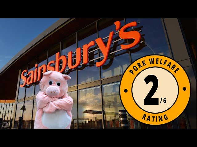 Pigs in Chains: Ep2 - Please Sainsbury’s, can we have some more high welfare?