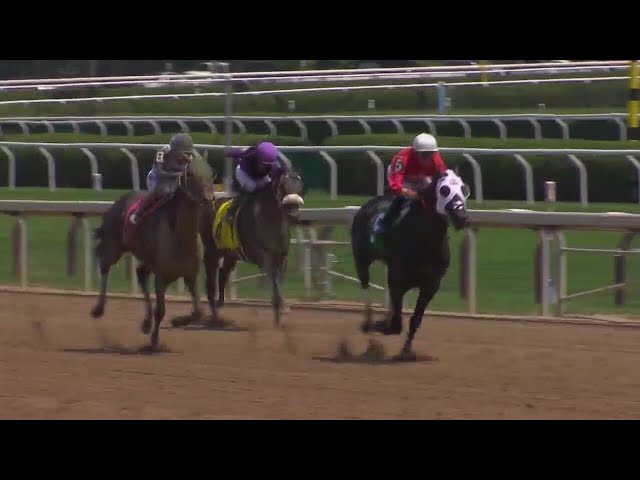 Saratoga prepping for Belmont Stakes return