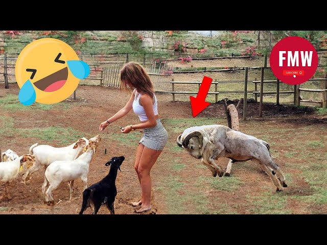 Funny & Hilarious People's Life 😂 #51 - Try not to Laugh | Funny Fails compilation 2024