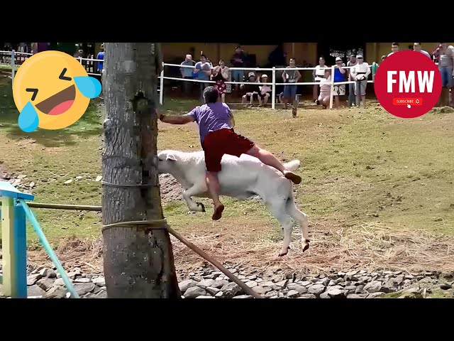 Funny & Hilarious People's Life 😂 #87 - Try not to Laugh | Funny Fails Compilation 2024