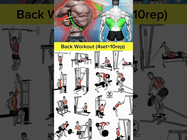 back workout at gym | back workout with dumbbells | back workout at home Big BACK workout 💪🏽 #shorts